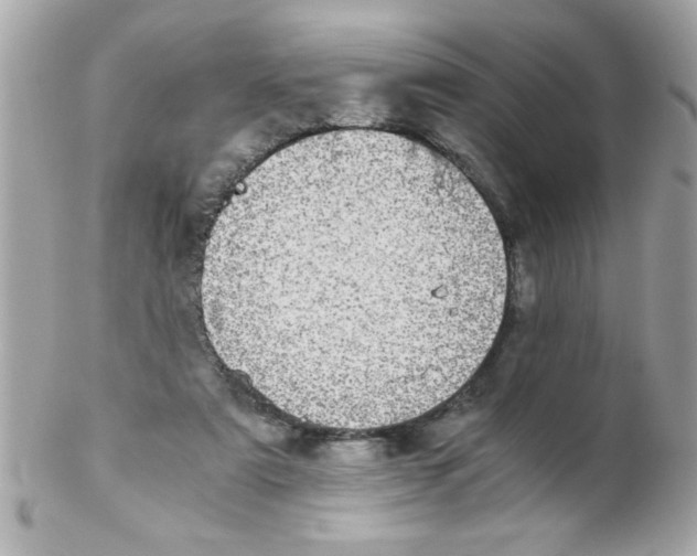 X0000102300307200808152024