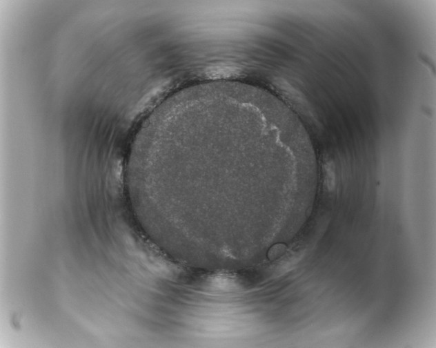 X0000102300308200808152024