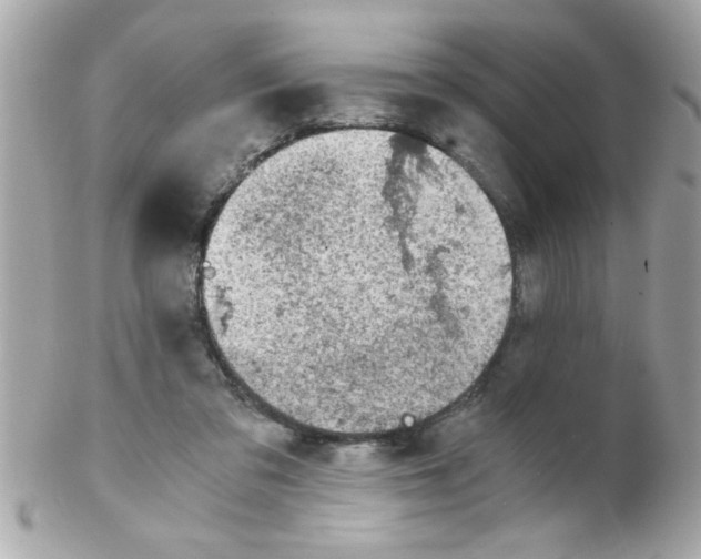 X0000102300309200808152024