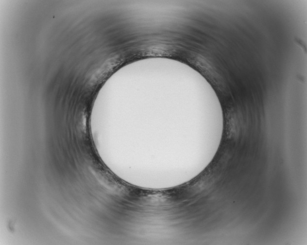 X0000102300310200808152024