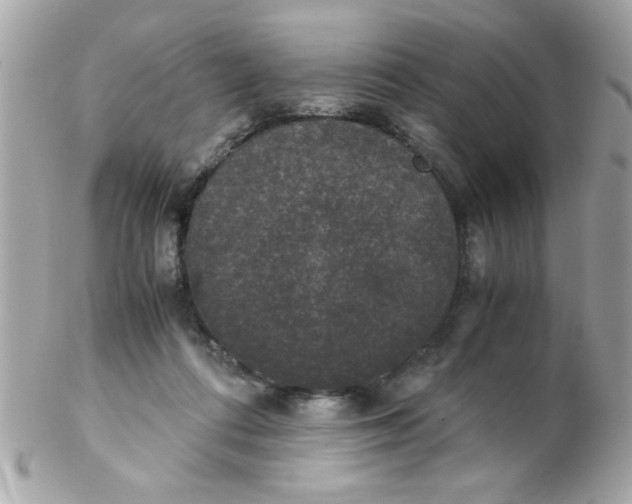 X0000102300312200808152024