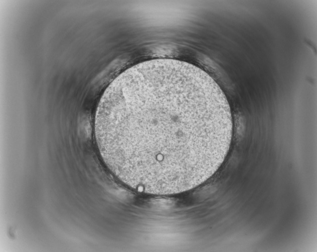 X0000102300313200808152024