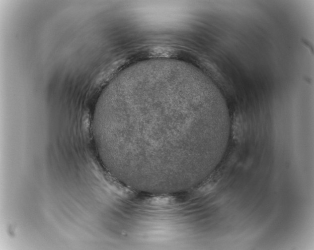 X0000102300314200808152024