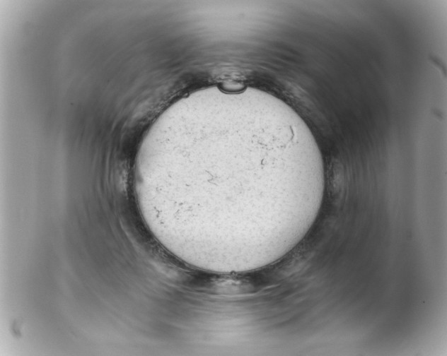 X0000102300315200808152024