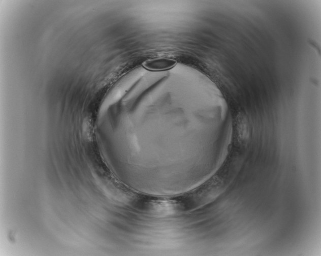 X0000102300316200808152024