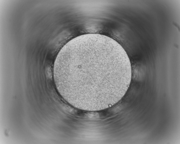 X0000102300317200808152024