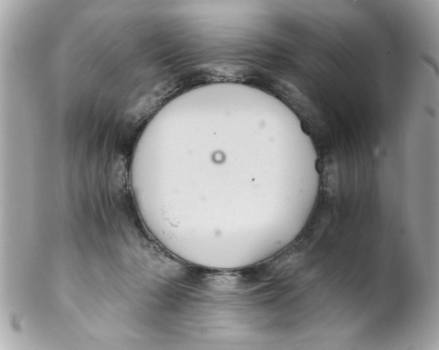 X0000102300318200808152024