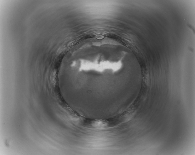 X0000102300319200808152024