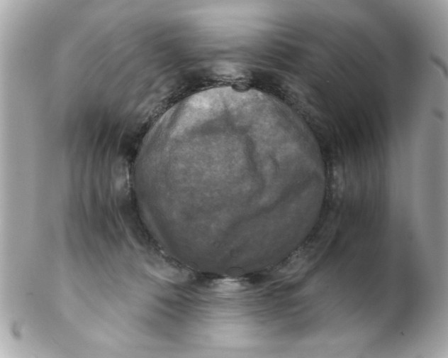 X0000102300320200808152024