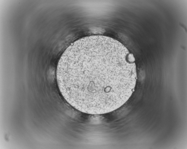 X0000102300321200808152024