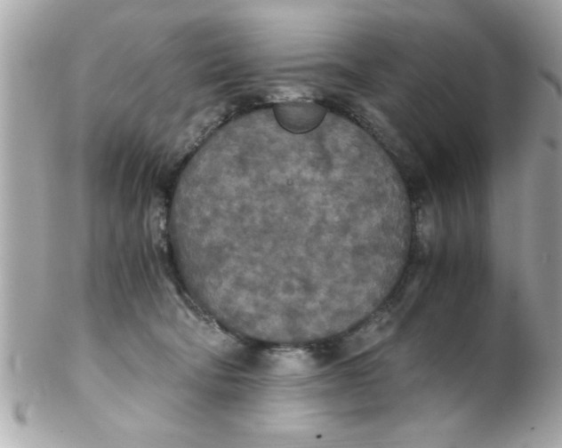 X0000102300322200808152024