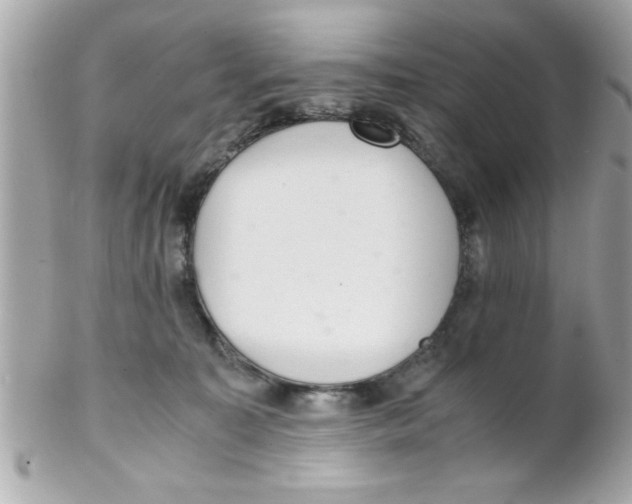 X0000102300323200808152024