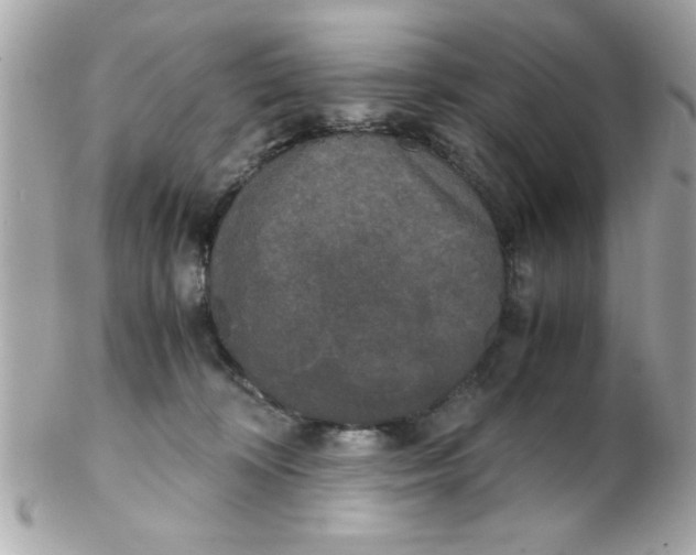 X0000102300324200808152024