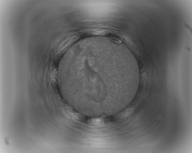 X0000102300325200808152024