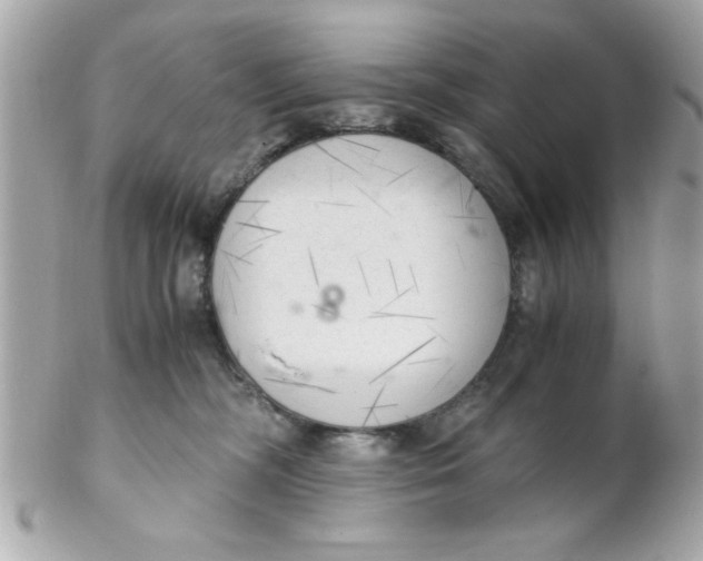 X0000102300326200808152024