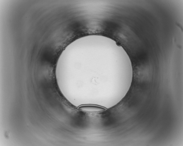 X0000102300327200808152024