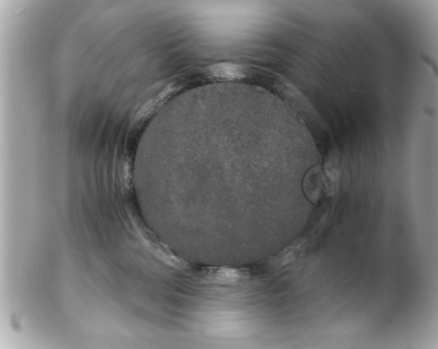 X0000102300330200808152024