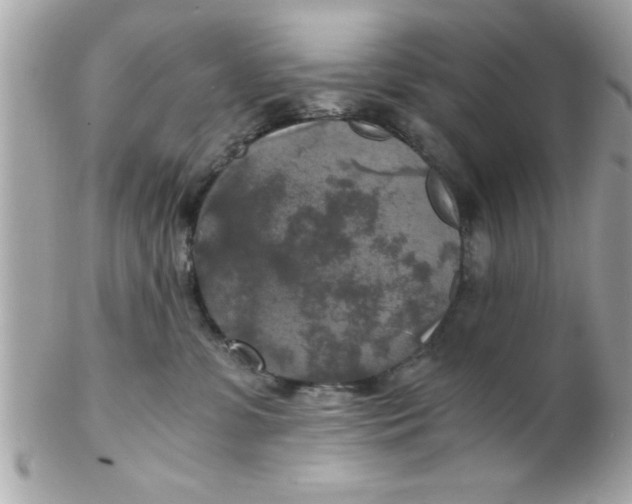 X0000102300331200808152024