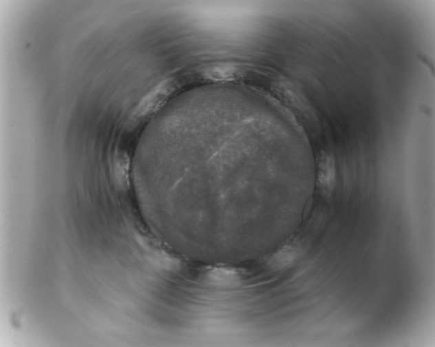 X0000102300332200808152024