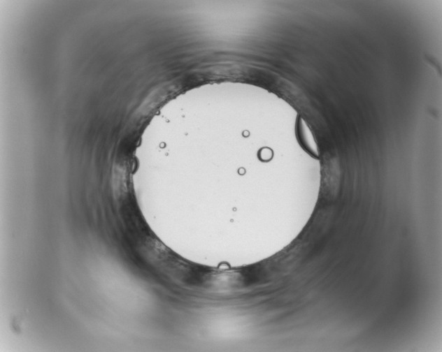 X0000102300333200808152024