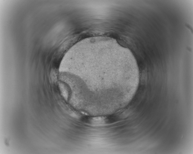 X0000102300335200808152024