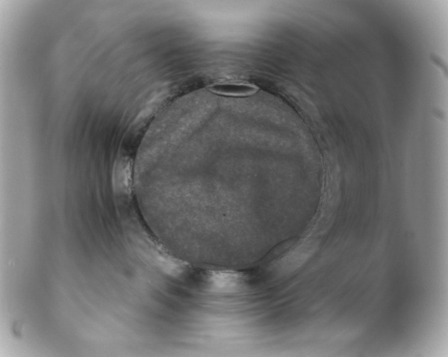 X0000102300336200808152024