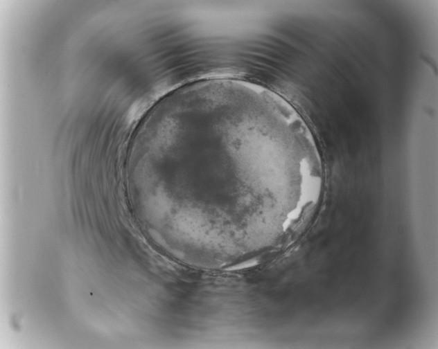 X0000102300337200808152023