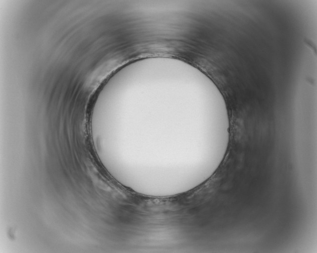 X0000102300338200808152023