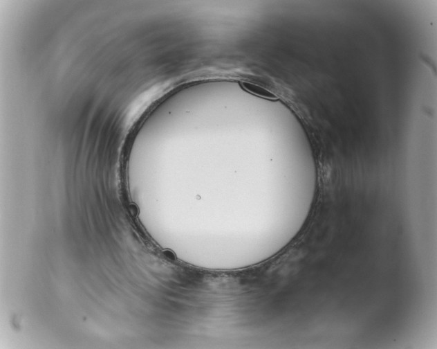 X0000102300340200808152023