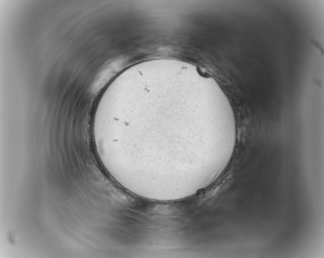 X0000102300341200808152023