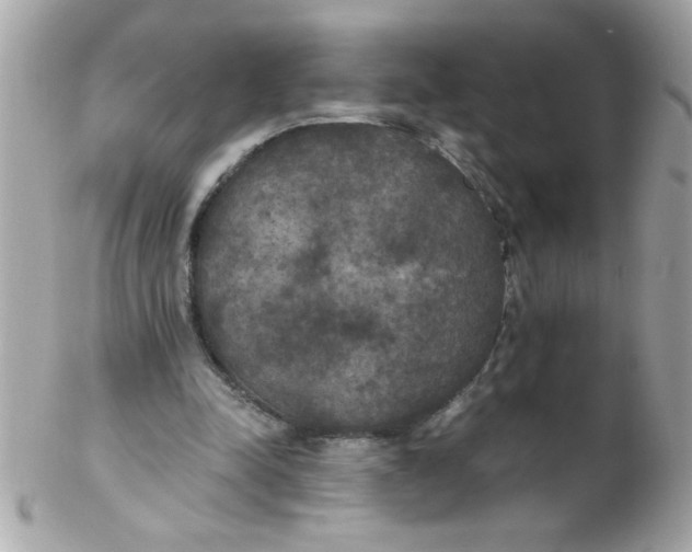 X0000102300342200808152023