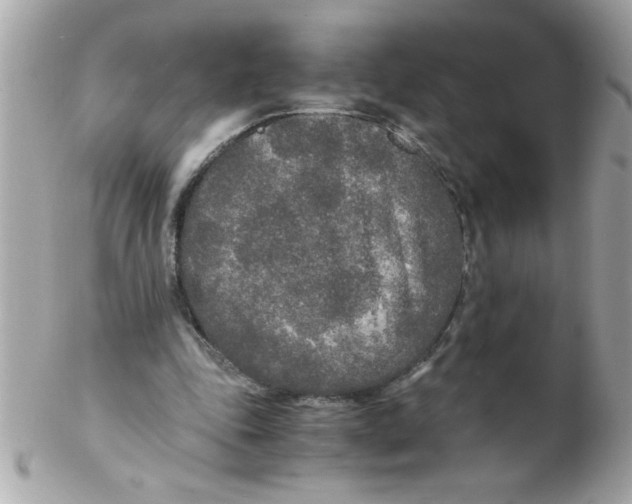 X0000102300343200808152023