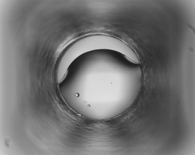 X0000102300344200808152023