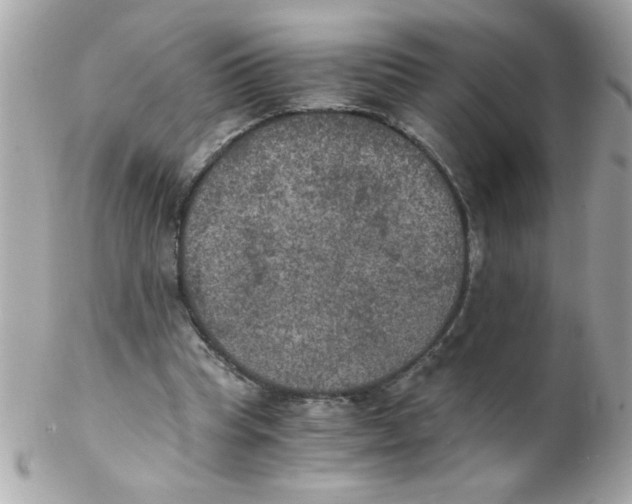X0000102300345200808152023