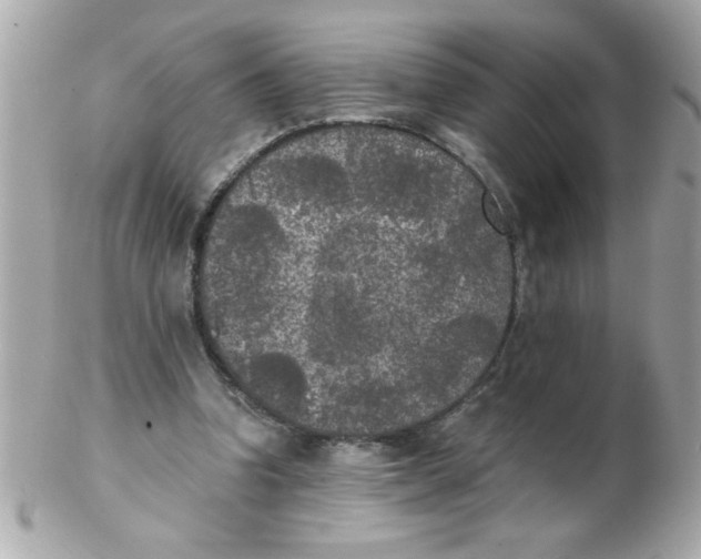 X0000102300346200808152023