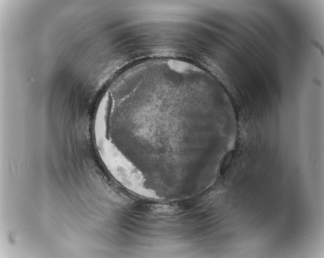 X0000102300347200808152023