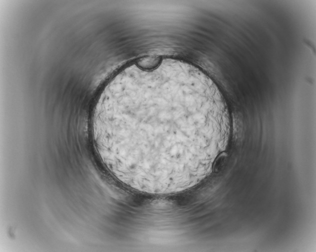 X0000102300348200808152023