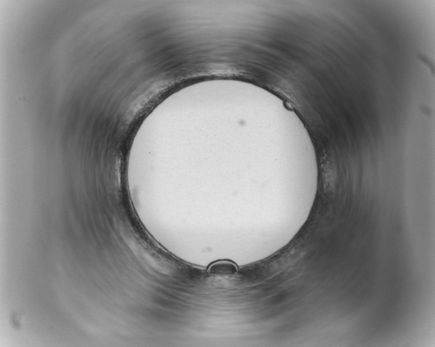 X0000102300350200808152023