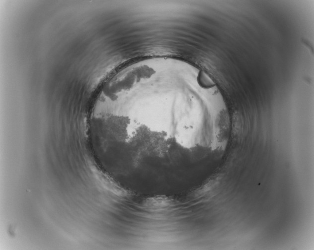 X0000102300351200808152023