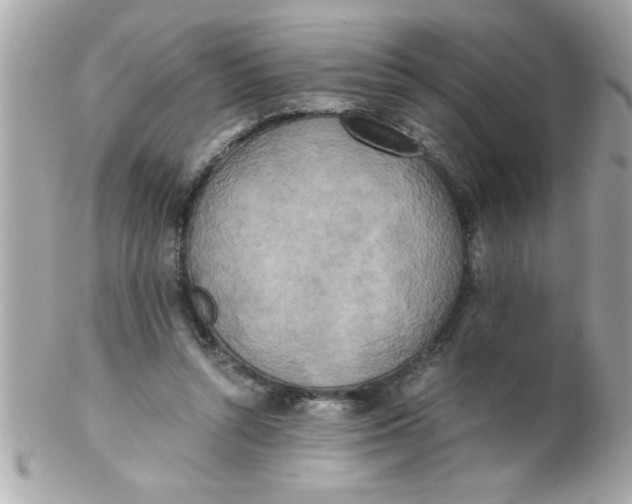 X0000102300352200808152023