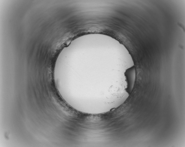 X0000102300354200808152023
