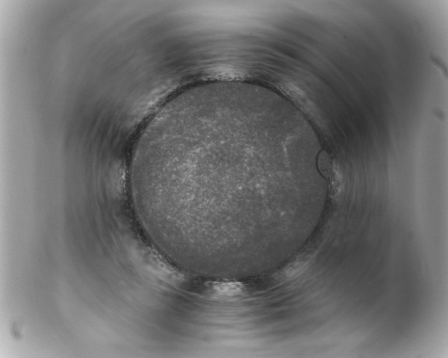 X0000102300355200808152023