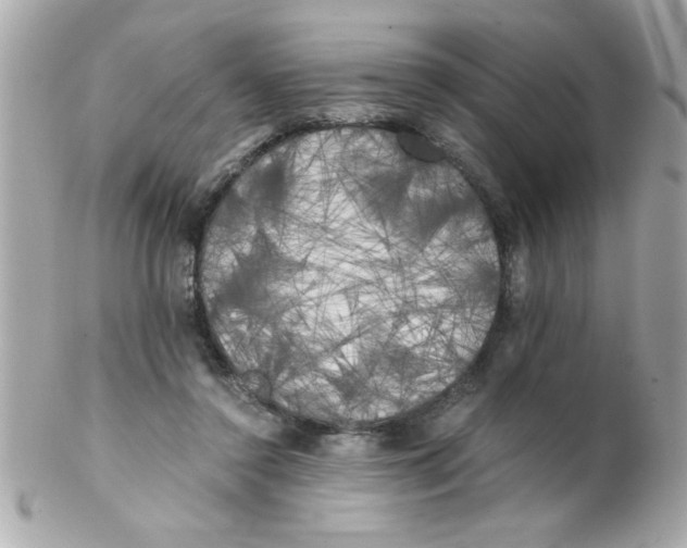 X0000102300356200808152023