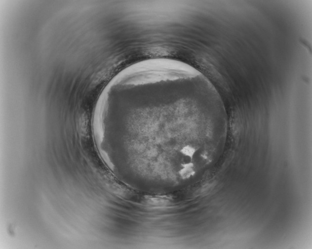 X0000102300359200808152023