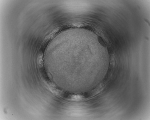 X0000102300360200808152023