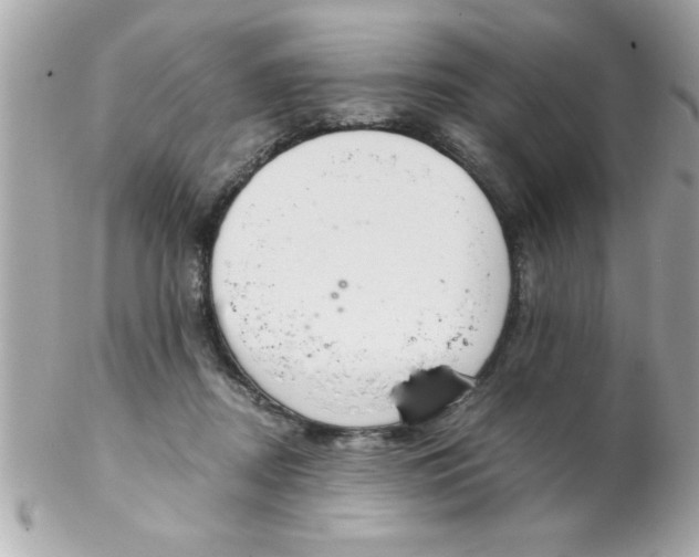 X0000102300362200808152023