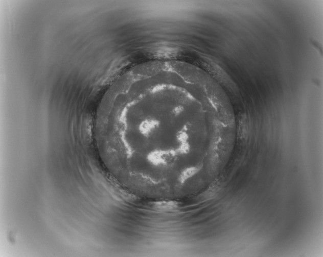 X0000102300363200808152023