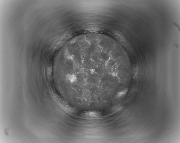 X0000102300365200808152023