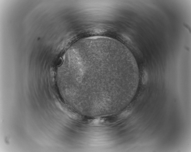X0000102300366200808152023