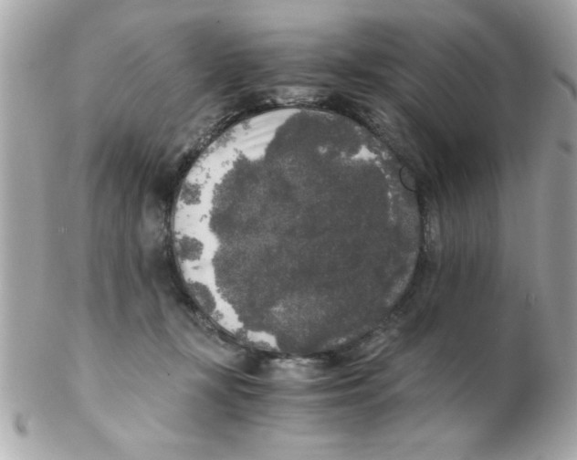 X0000102300367200808152023
